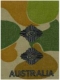 Lieutenant