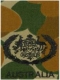 Regimental Sergeant Major