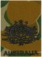 Warrant Officer Class One